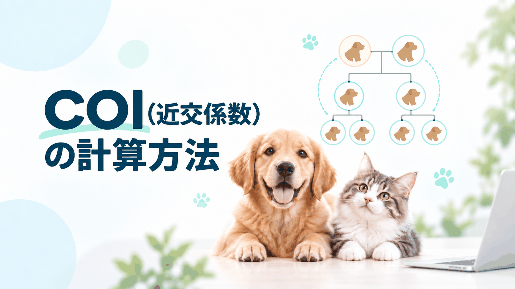 COI（近交係数）の計算方法｜ブリーダー向けに分かりやすく解説！