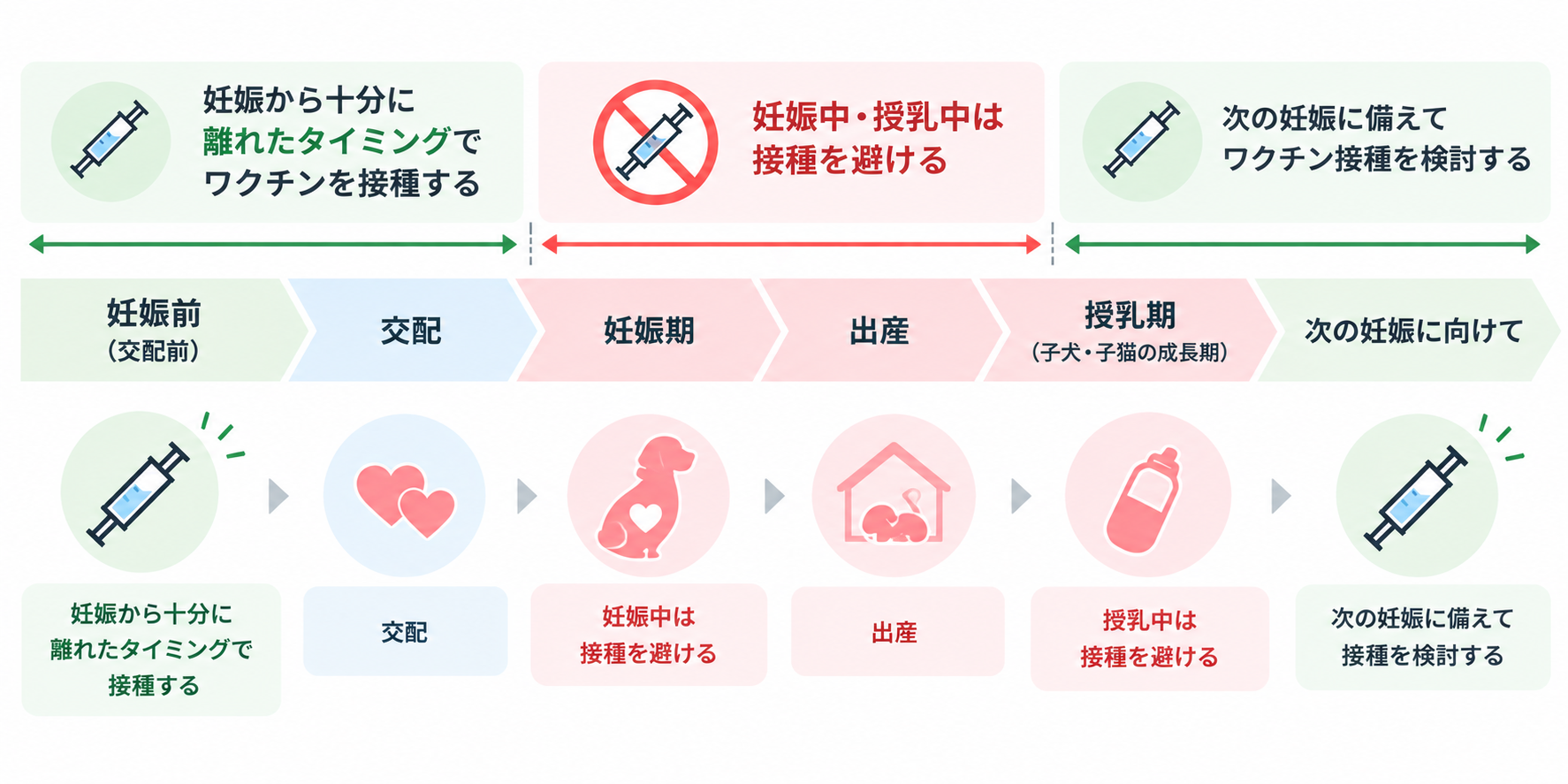 妊娠前は妊娠から十分に離れた時期に接種し、妊娠中・授乳中は接種を避け、次の妊娠に備えて接種を検討するタイミングを示した図