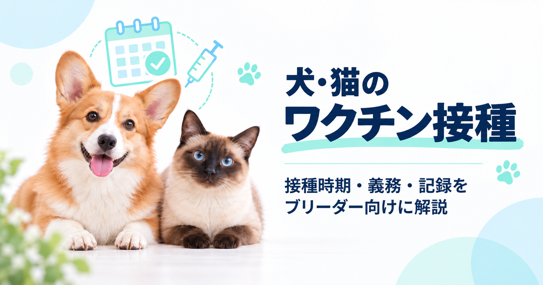 犬・猫のワクチン接種｜接種時期・義務をブリーダー向けに解説