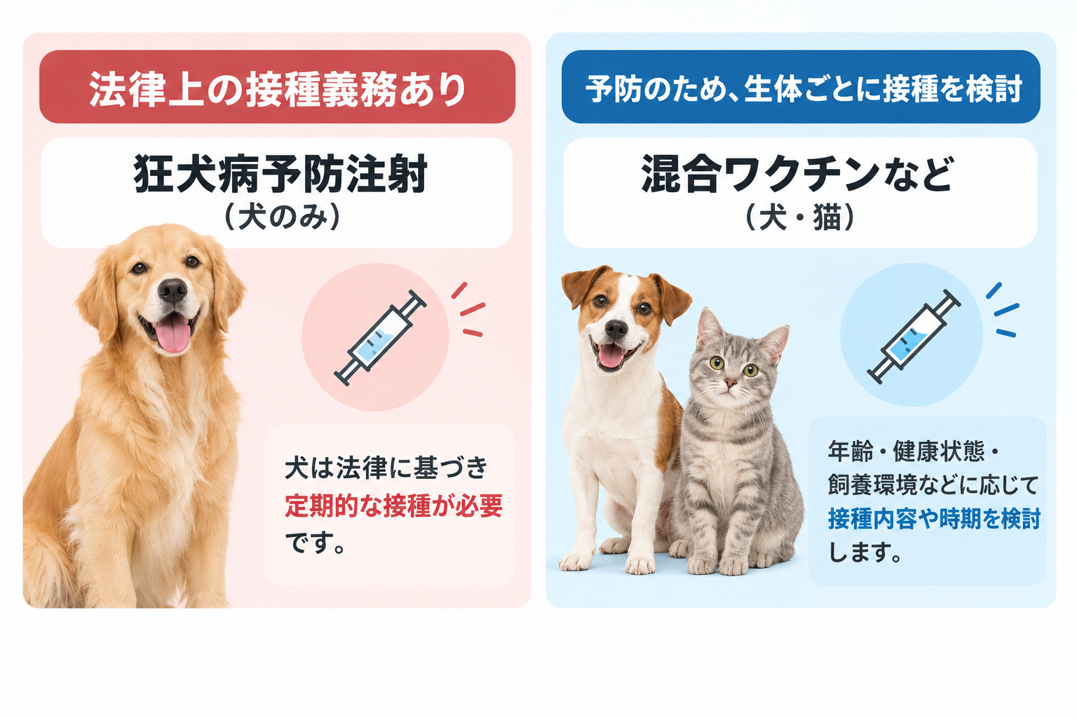 犬の狂犬病予防注射は法律上の義務があり、混合ワクチンなどは犬・猫それぞれの年齢や健康状態、飼養環境に応じて検討することを示した図