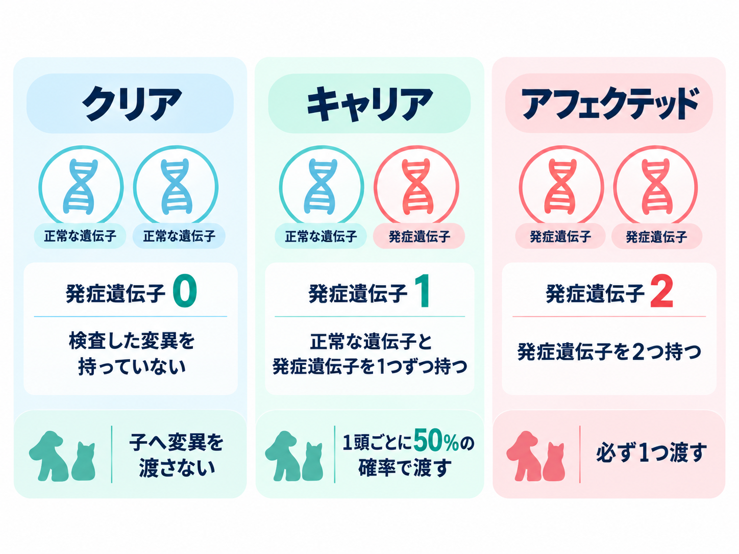 遺伝子検査の結果をクリア、キャリア、アフェクテッドに分類したイメージ