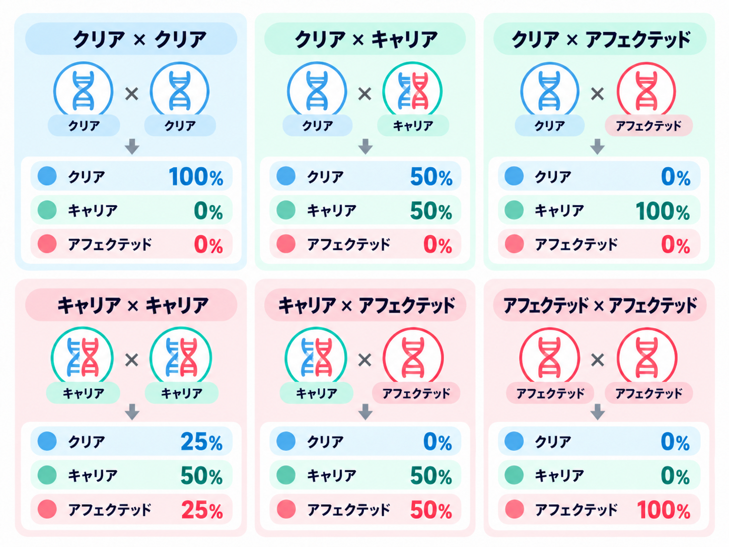 6種類の交配パターンごとに、子のクリア・キャリア・アフェクテッドの確率を示した図