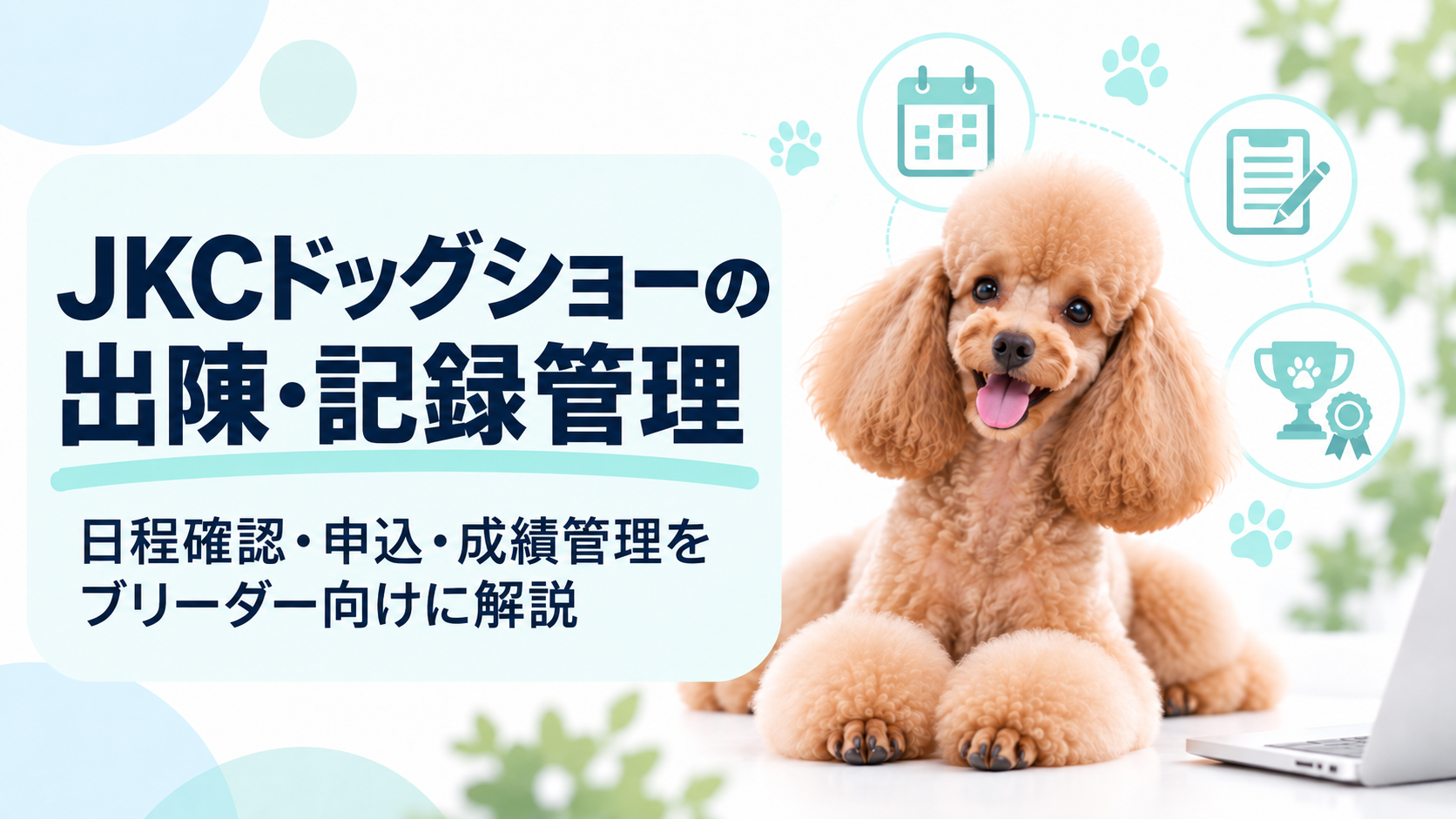 JKCドッグショーの出陳・記録管理｜日程確認・申込・成績管理をブリーダー向けに解説
