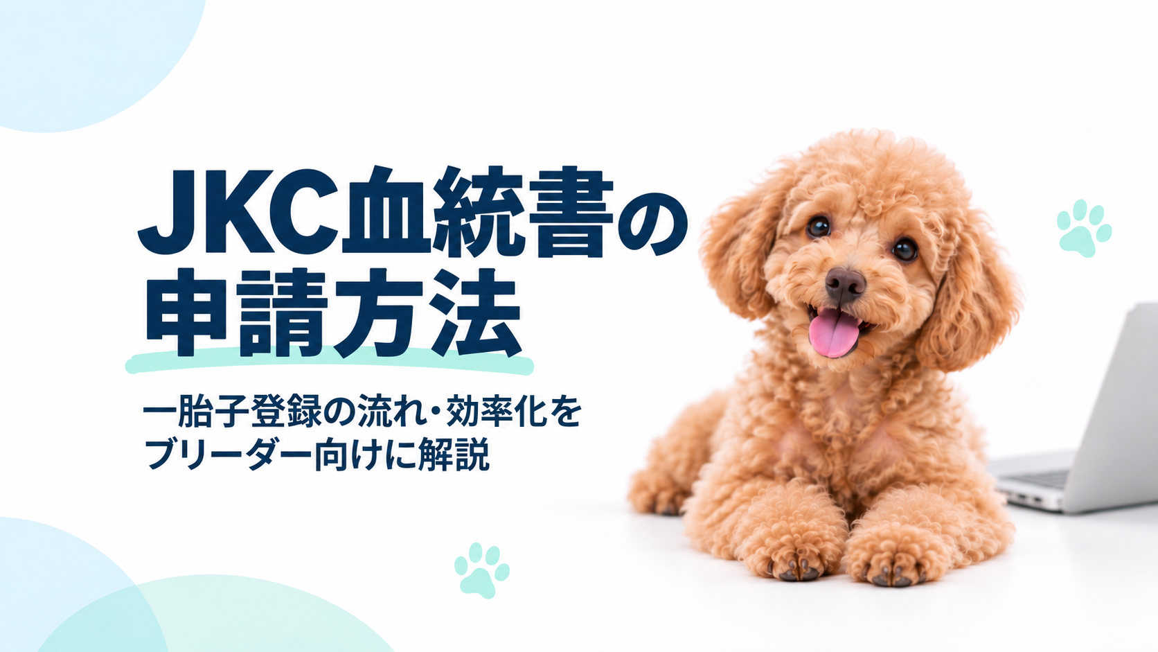 JKC血統書の申請方法｜一胎子登録の流れ・効率化をブリーダー向けに解説